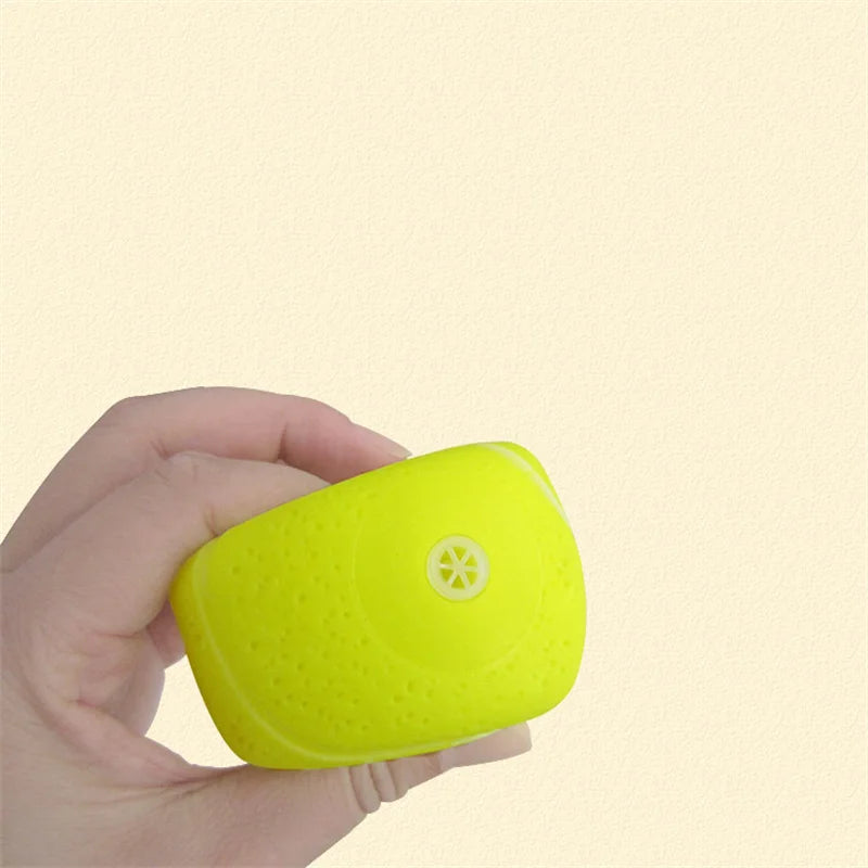 Squeaky Pet Ball Toys - FUR YOU