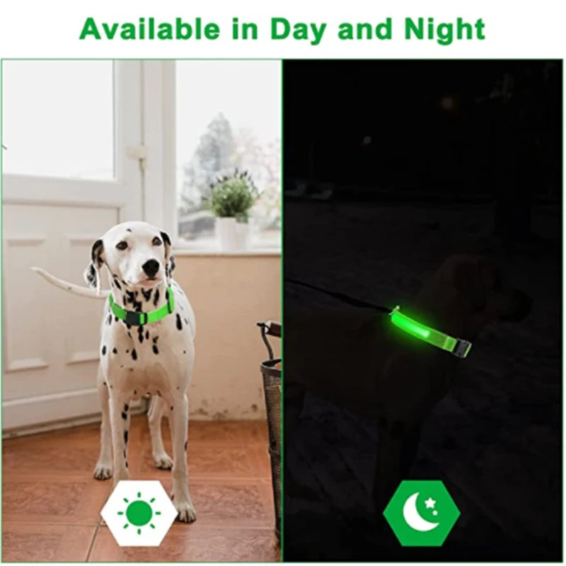 LED Glowing Dog Collar - FUR YOU