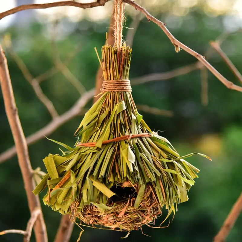 Birds Nest - FUR YOU