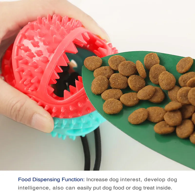 Suction Cup Toy - FUR YOU