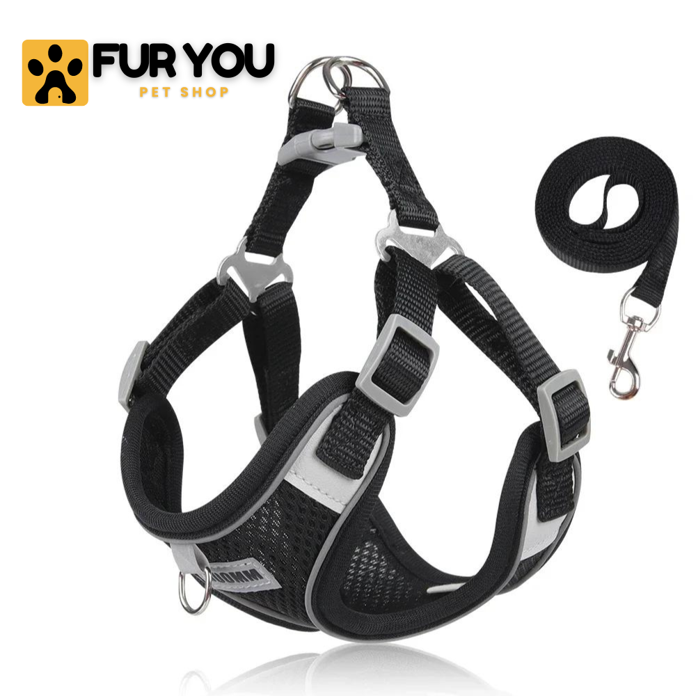 Dog Harness - FUR YOU