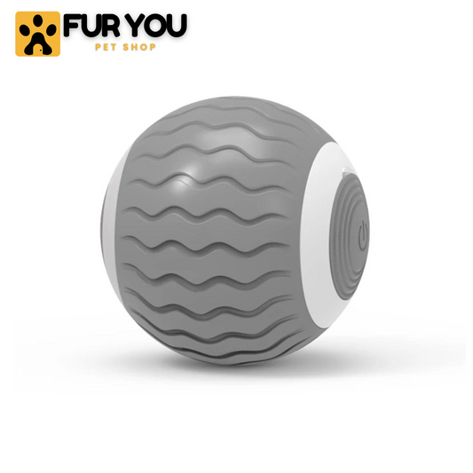 Automatic Rolling Ball - FUR YOU