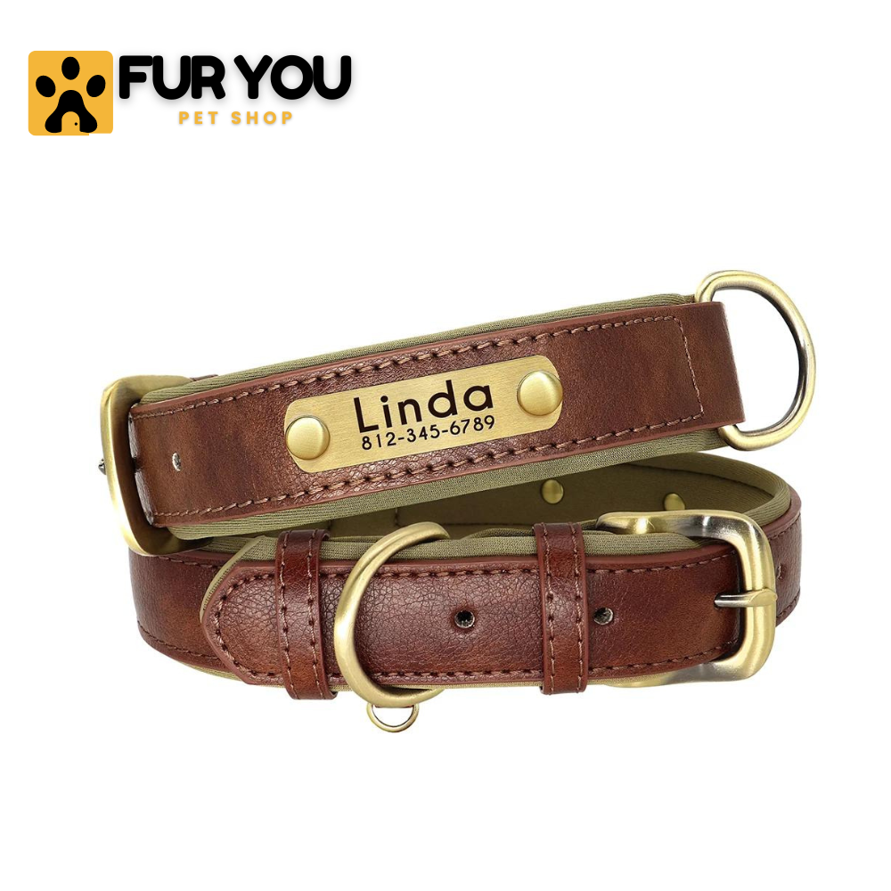 Custom Leather Dog Collar - FUR YOU